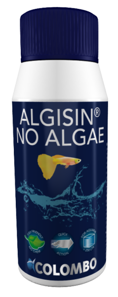 Colombo Algisin 100ml